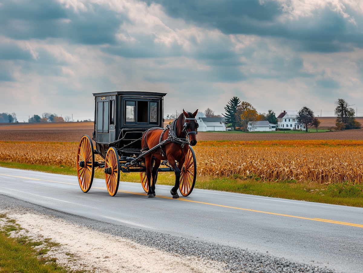 Amish Pferdekutsche